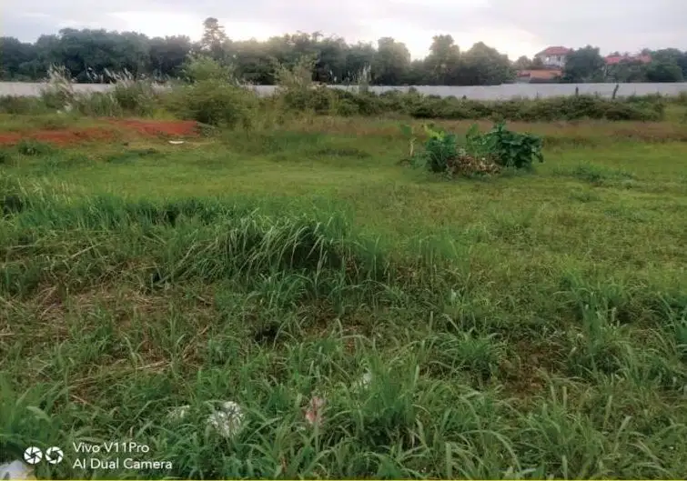 JUAL MURAH DIBAWAH NJOP TANAH DEKAT BSD PARUNG PANJANG BOGOR