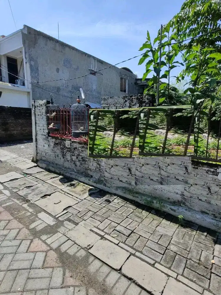 DIJUAL TANAH SEMAMPIR UTARA SUKOLILO SURABAYA RON.A2107