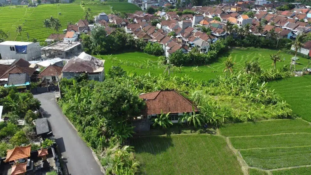 Tanah Tumbak Bayuh Canggu