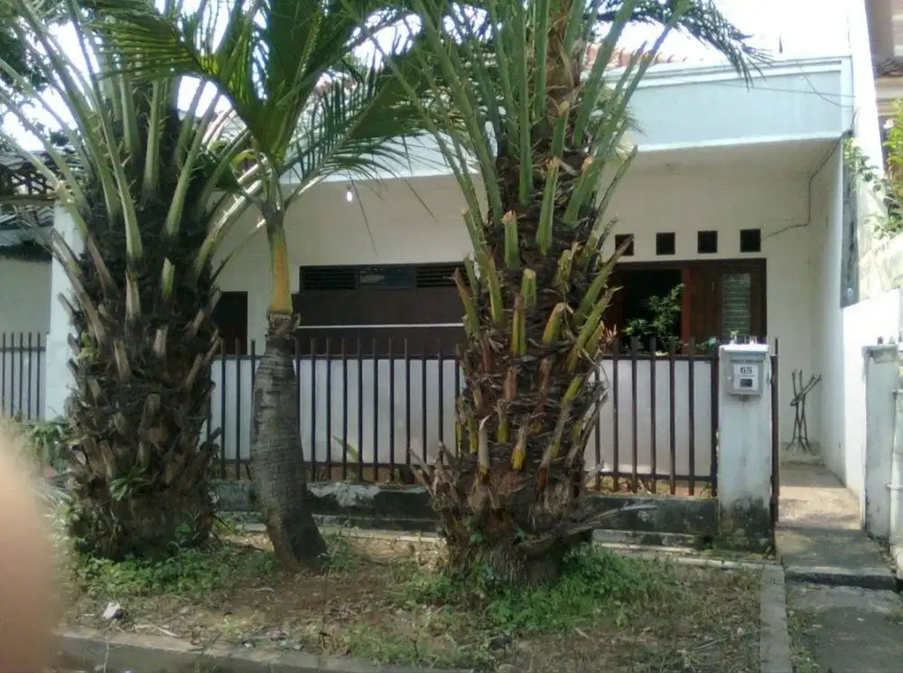 Dijual Cepat Rumah Tua DiCempaka Putih, Jakpus-Hitung Harga Tanah saja