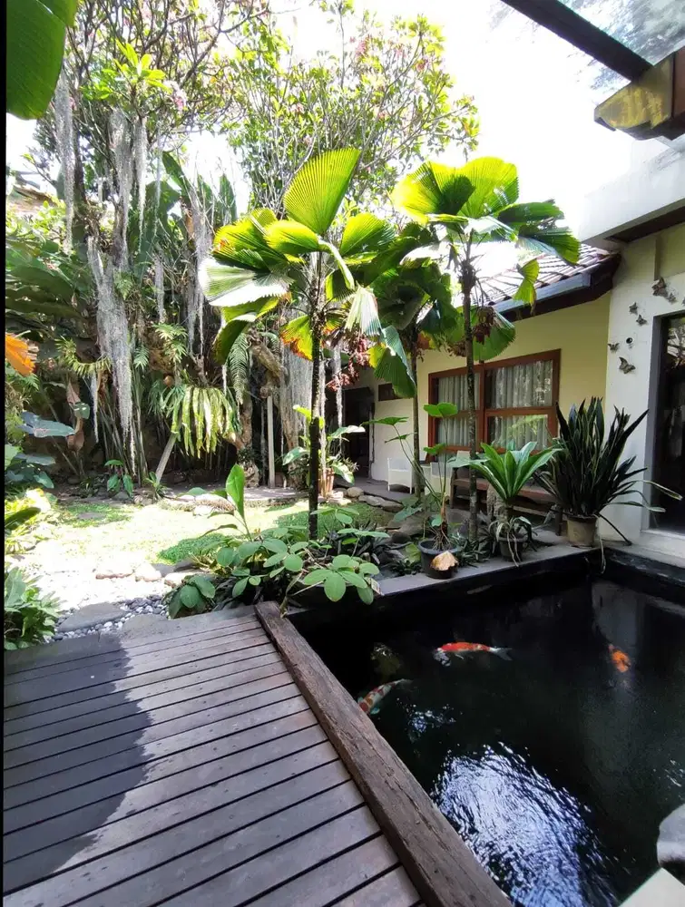 Turun Harga Jual Murah Rumah Mewah ,Rumah Asri di Pasteur Bandung dekat Exit Toll.