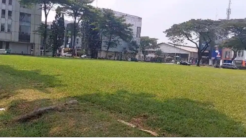 Dijual Cepat Kavling Jl Jalur Sutera Alam Sutera