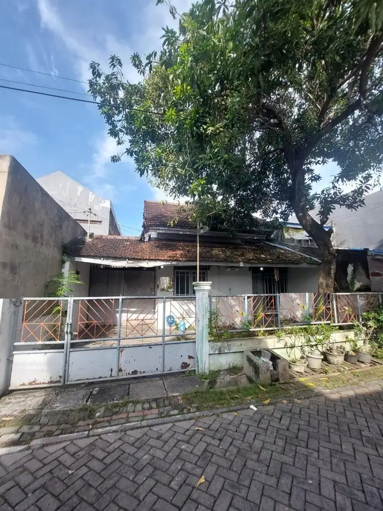 DIJUAL RUMAH SEMAMPIR SELATAN SUKOLILO SURABAYA RON.A2623