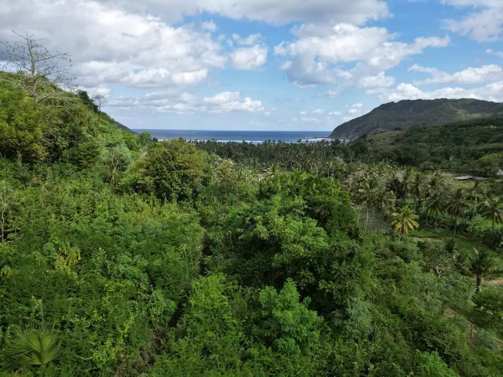 Tanah view laut Areguling dekat Kuta Mandalika