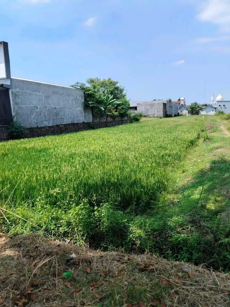 DIJUAL TANAH RAYA SUMOBITO MOJOAGUNG JOMBANG RON.A2041