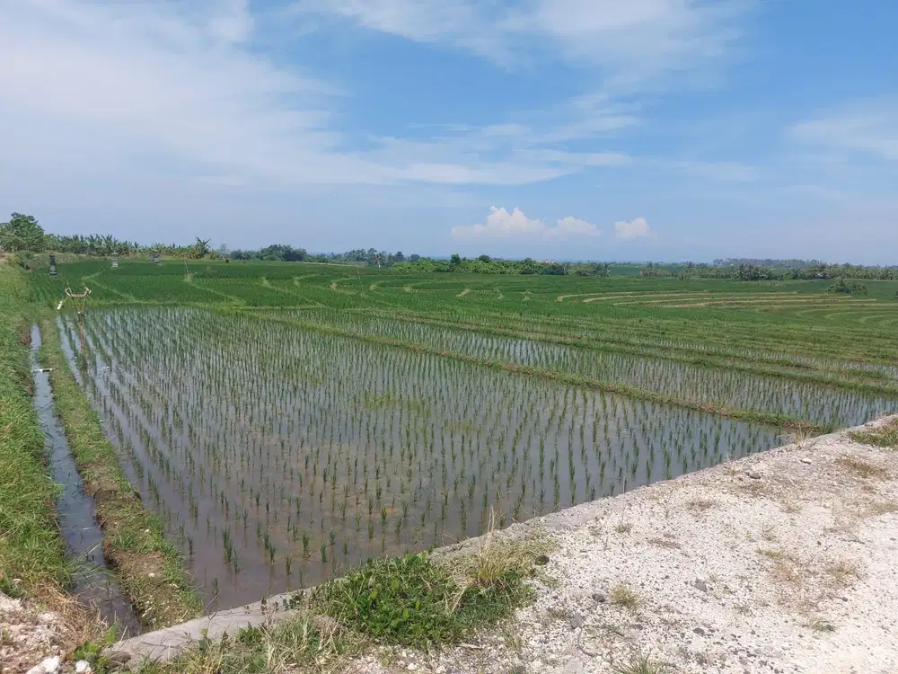 TANAH DENGAN VIEW PANTAI PASUT