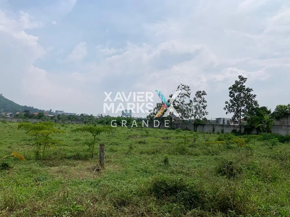 Disewakan Tanah Luas di Bedali Lawang, Malang