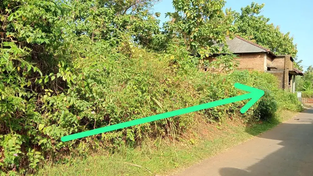 Disewakan Tanah siap pakai