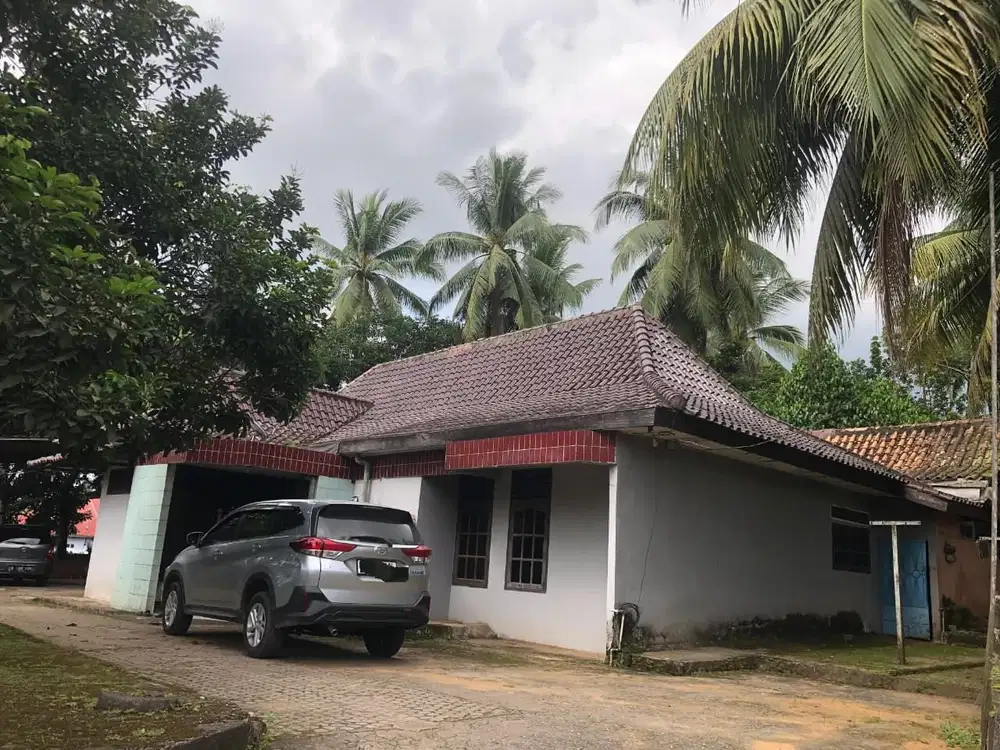 DIJUAL TANAH KONTUR TINGGI JALAN DIPONEGORO SUKAMORO BANYUASIN PALEMBANG