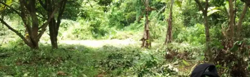 Jual murah! kavling siap bangun dket UT Pondok cabe Pamulang tangsel