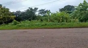 tanah industri dan pergudangan