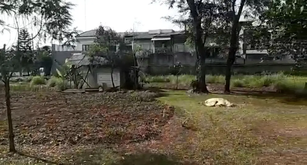 Dijual Kavling Siap Bangun Di Pondok Aren GB11109