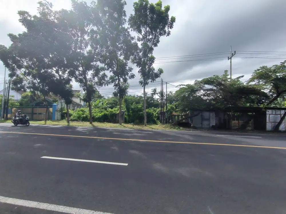 Tanah Banyuwangi Jalan Raya