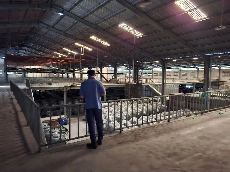 Pabrik 1,5 hektar Lippo Cikarang