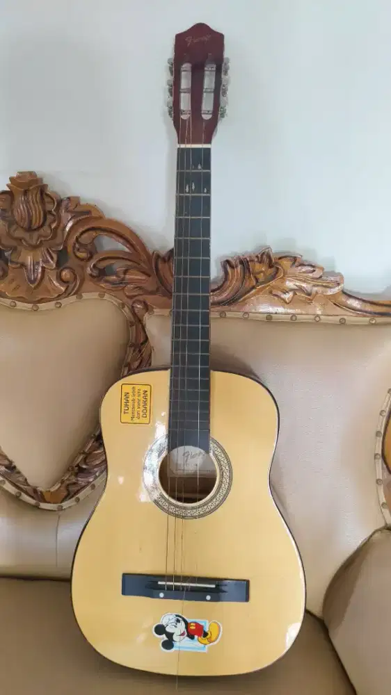 Dijual gitar flamingo FL1-N