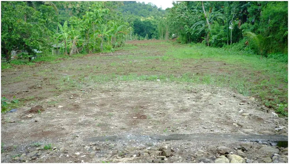 Dekat Pasar Imogiri Lokasi Asri Cocok Untuk Investasi Tanah Kavling