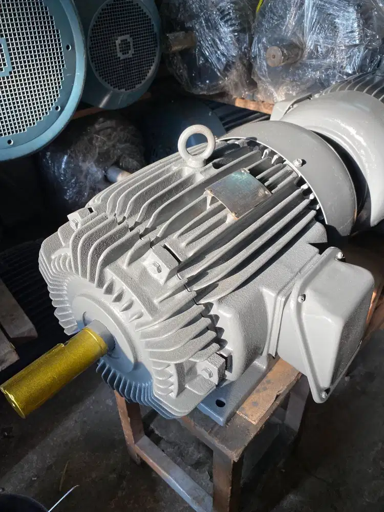 TECO 15hp 4pole - Dinamo Elektro Motor - 15hp 4p rpm 1500 11kw