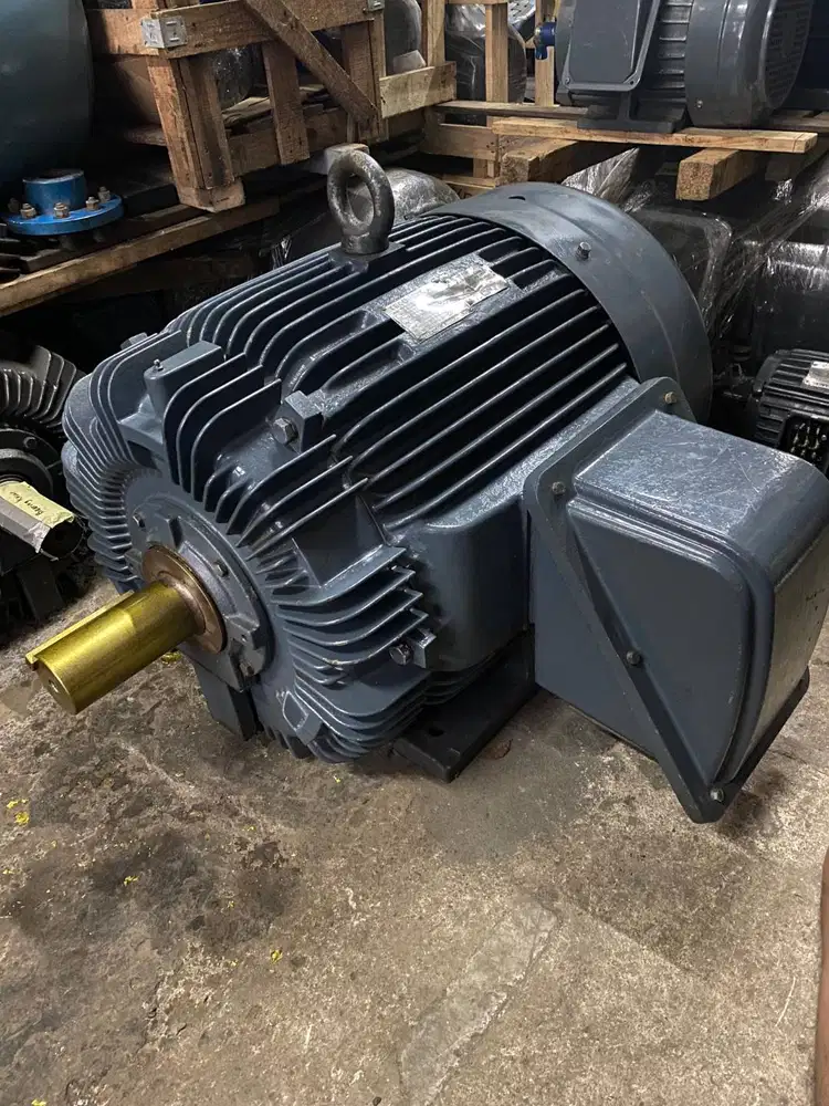 TECO 125hp 4pole 1450rpm dinamo elektro motor 3phase 90kw