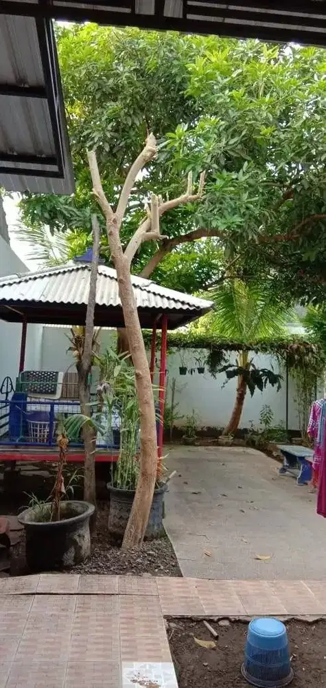 Dijual Tanah Beserta Bangunan di Raya Barata Jaya, Surabaya