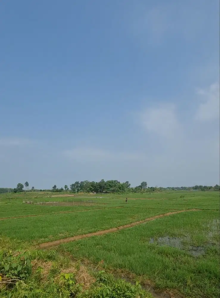 WTS Lahan Kavling Tanah Pinggir Jalan Raya Di Cikande Serang Banten