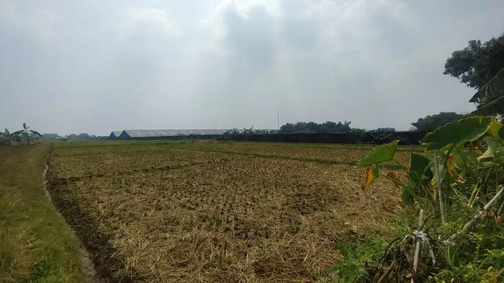 Dijual Lahan Industri Mojosari Kutorejo Mojokerto