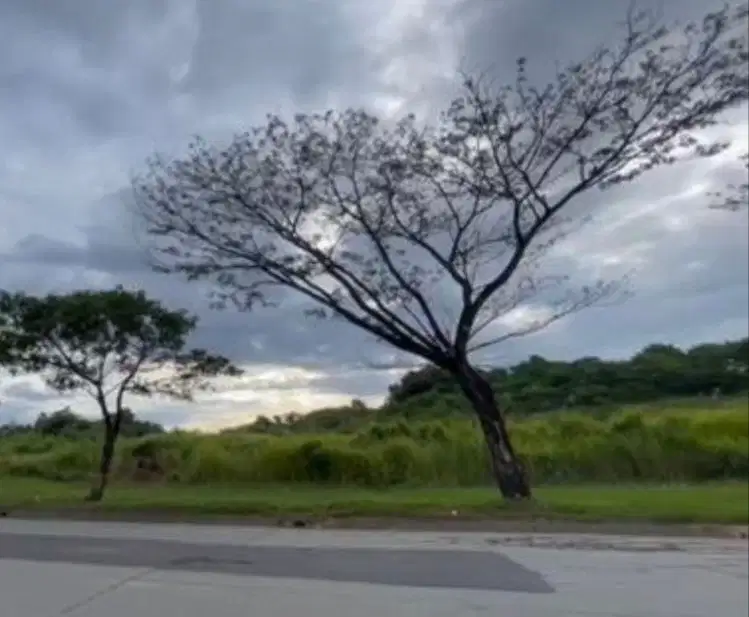 Dijual Kavling Industrial Kitic Deltamas Cikarang