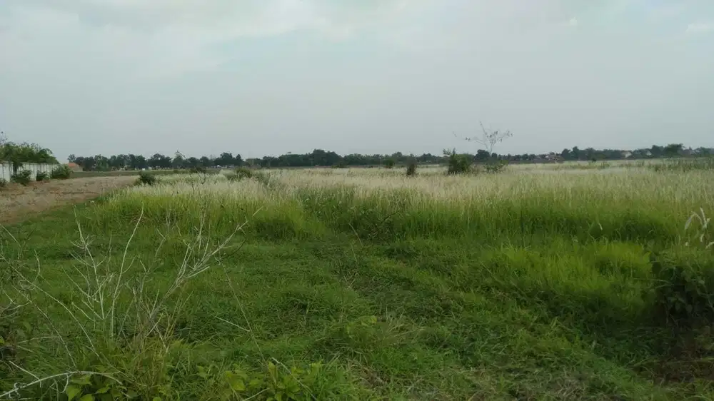 Tanah Kavling Lahan berlokasi di Brebes Jawa Tengah