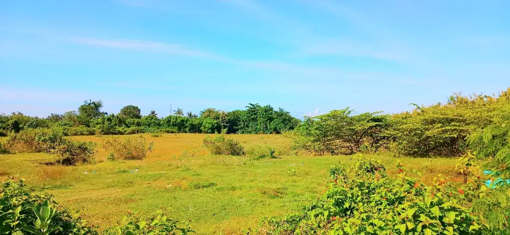 Tanah 9901 M2 Dkt Pelabuhan Pengambengan Negara Jembrana Bali