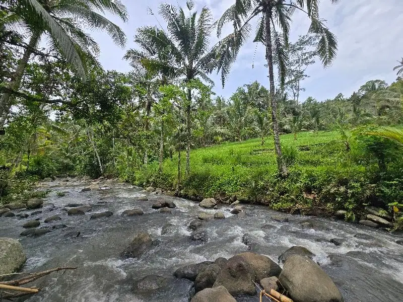Dijual tanah kecil murah dengan sungai  besar di penebel tabanan bali
