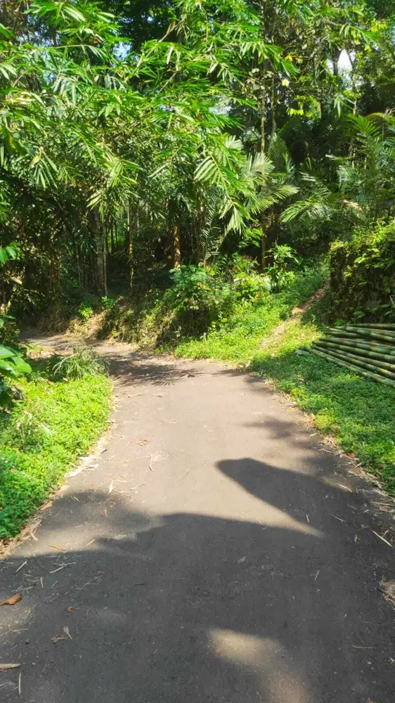 Tanah Murah Girikerto Turi Sleman Yogyakarta