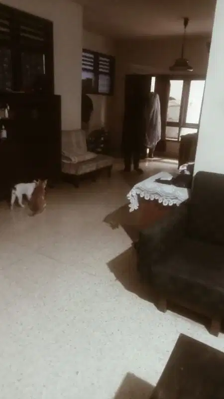 Rumah murah di bawah pasaran untuk kosan di Bangka Mampang Jaksel