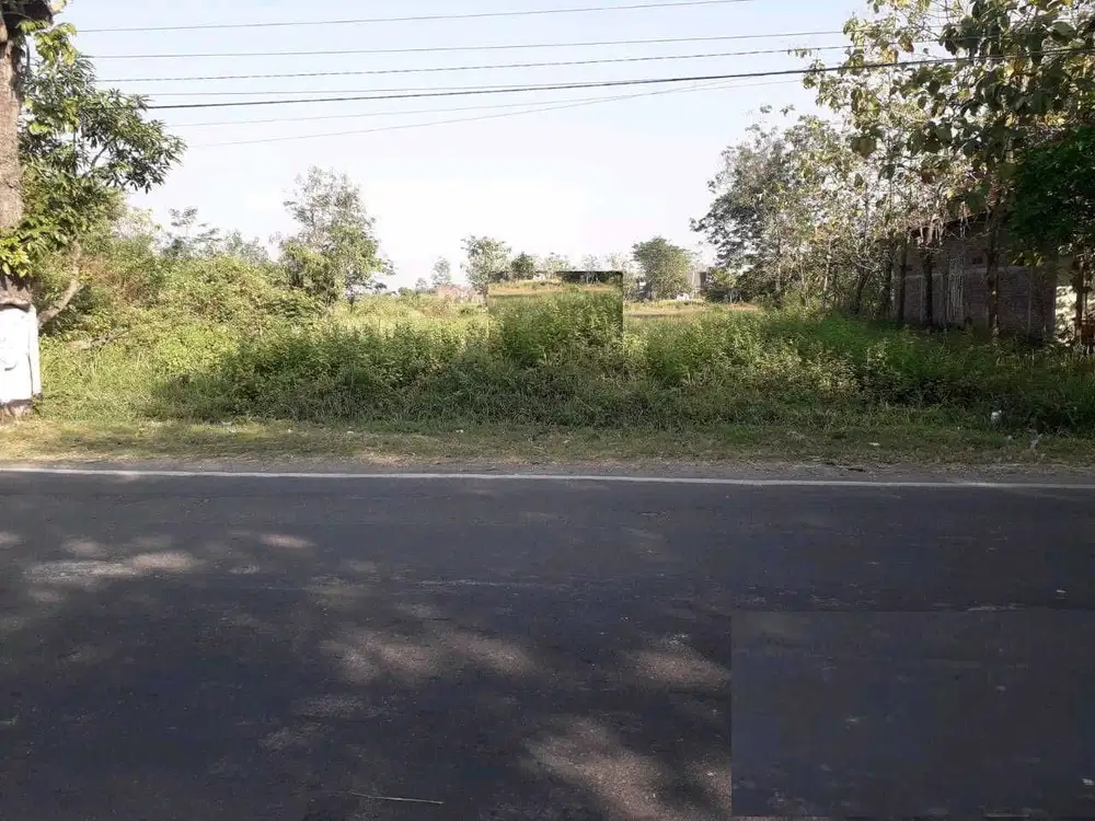 DIJUAL TANAH DAKON NGRASEH DANDER BOJONEGORO RON.A1825