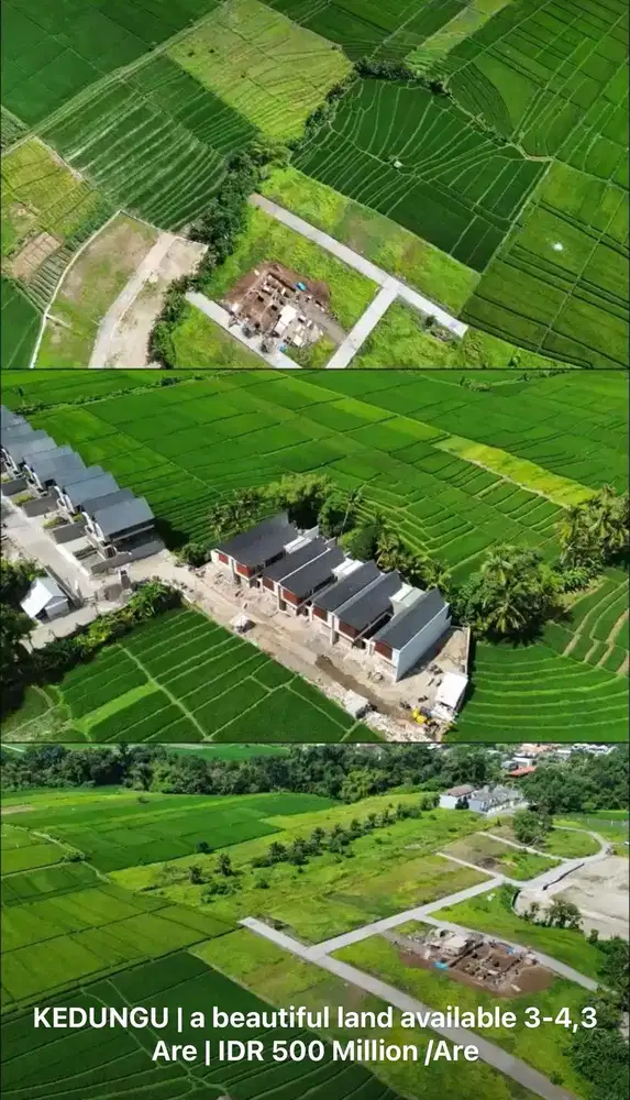 TANAH KEDUNGU DEKAT CANGGU NUANU NYANYI CEMAGI