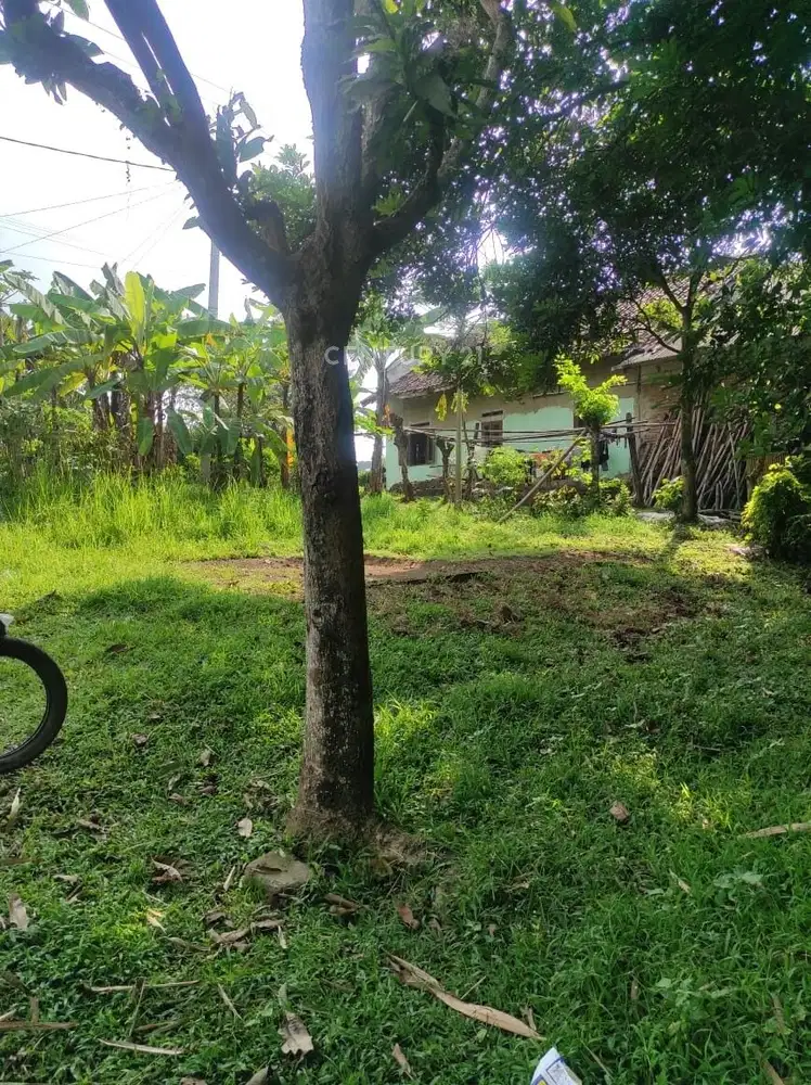 Dijual Tanah Lahan Kosong Di Cikande Rangkasbitung Serang Banten