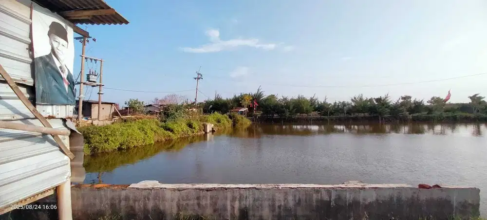 FOR SALE – LAHAN TAMBAK 8 Ha, Sobo (Kota), Banyuwangi, Jatim