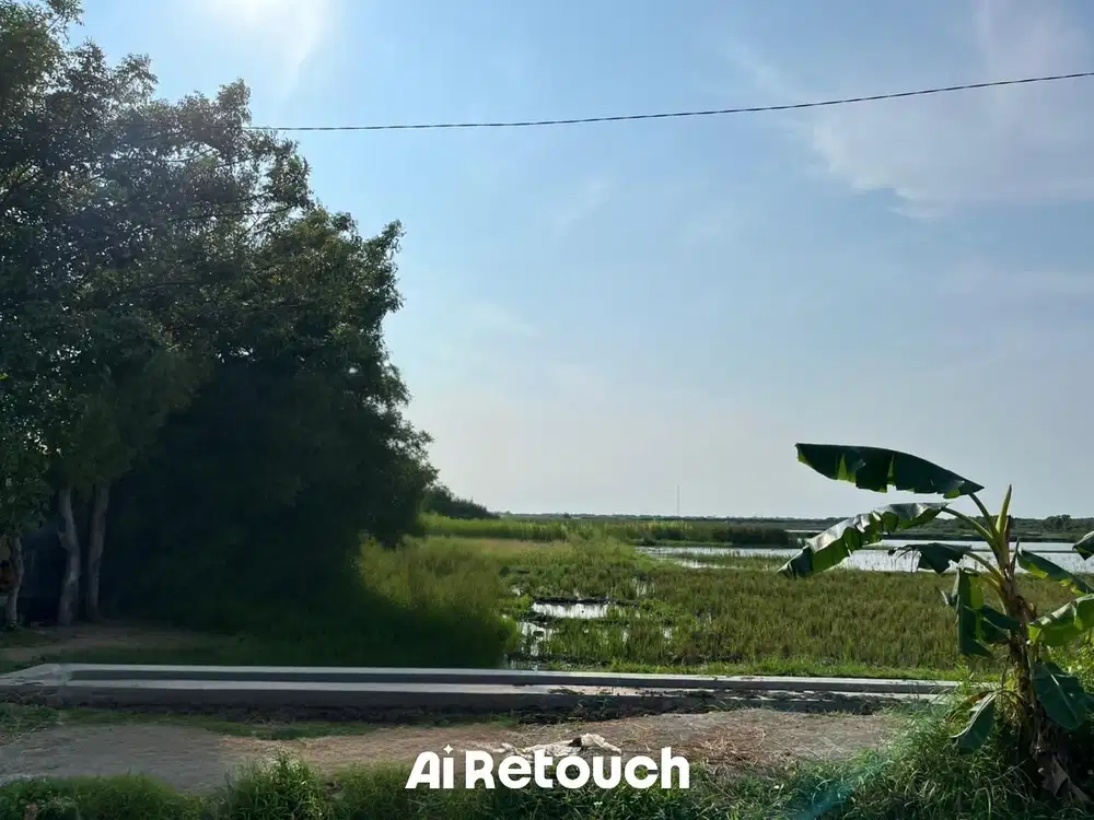 BREBES LIMBANGAN WETAN TANAH LUAS COCOK UNTUK PERUMAHAN JUAL MURAH