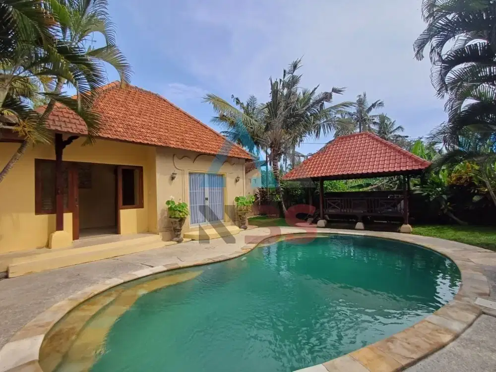 For Sale / Rent Villa besar  view sawah jungle kemenuh dekat ubud