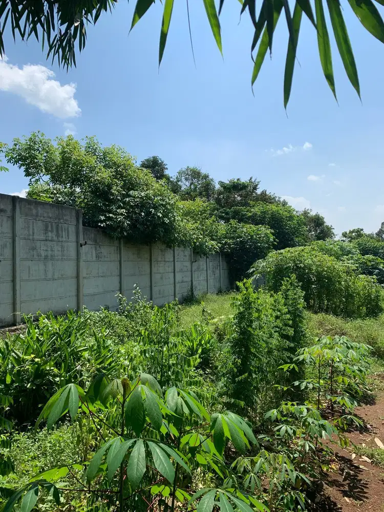 Dijual Tanah Luas 9.013m² di Cikeusal Serang – Full Tembok