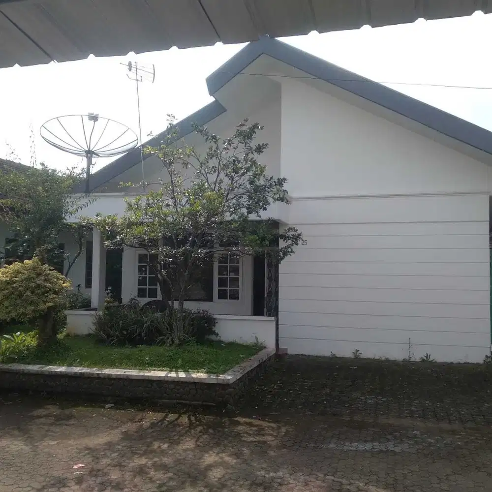 Villa Mewah Sejuk Luas Cipanas Puncak Kota Bunga Cianjur Indo Alam