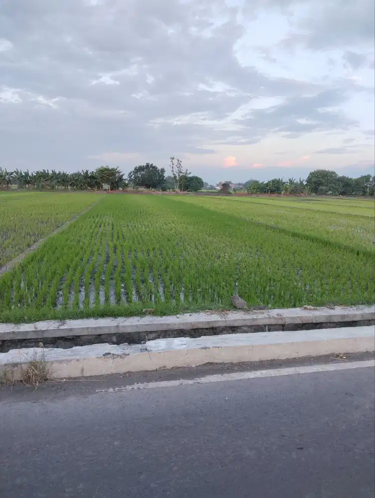 Tanah nol jalan mojokerto dekat pabrik gudang pinggir jalan dekat toll