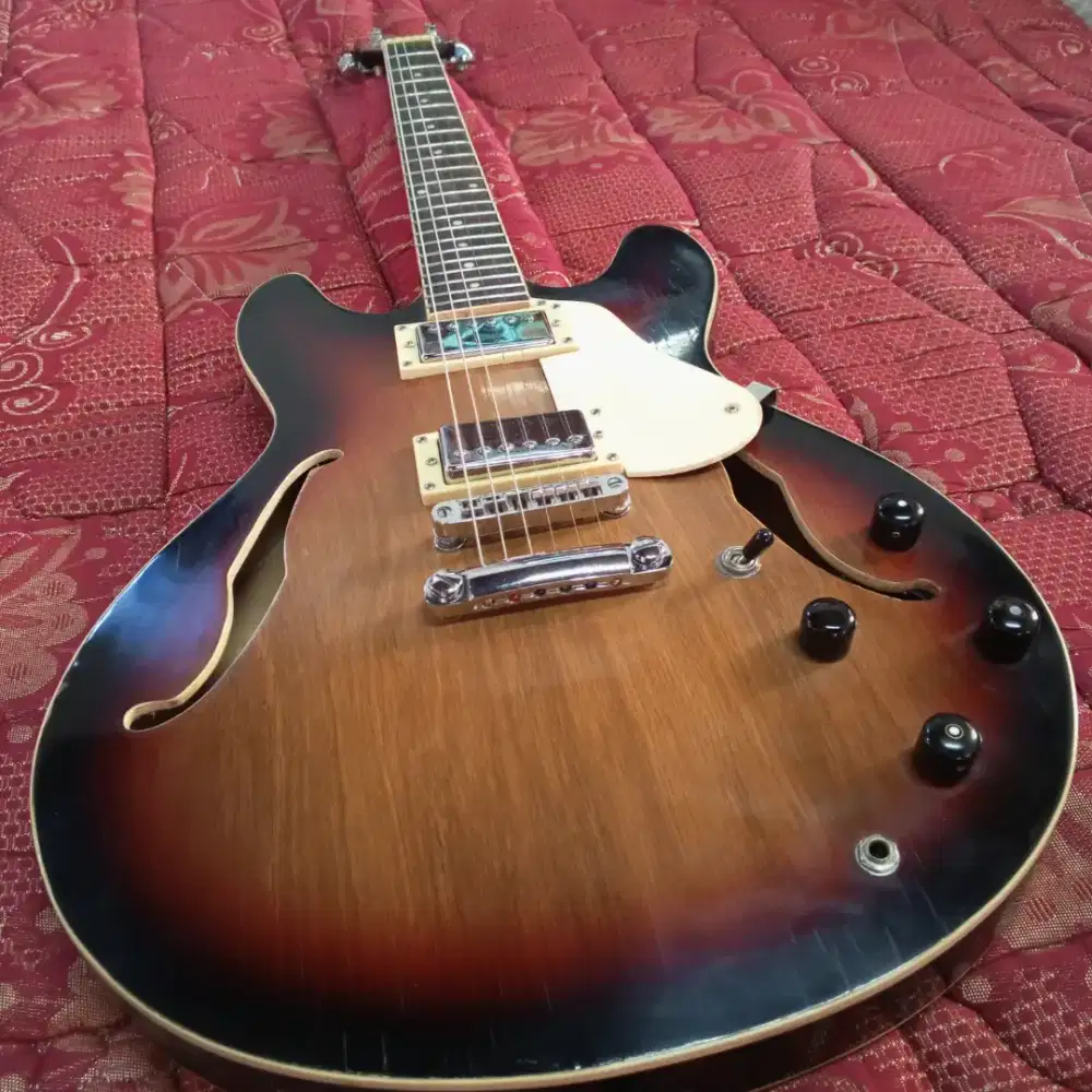 Gitar Hollow body + Ampli