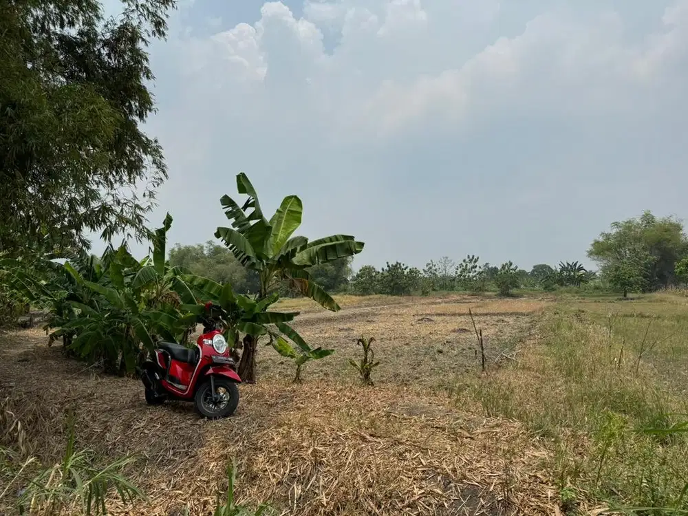 JUAL TANAH SAWAH GADINGWATU MENGANTI GRESIK