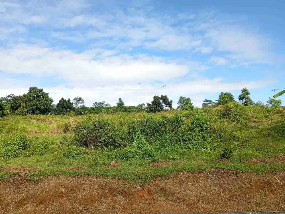 jual tanah murah LT 1,1 ha, shm, nempel jln kabupaten