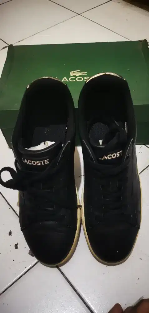 Sepatu Lacoste Original