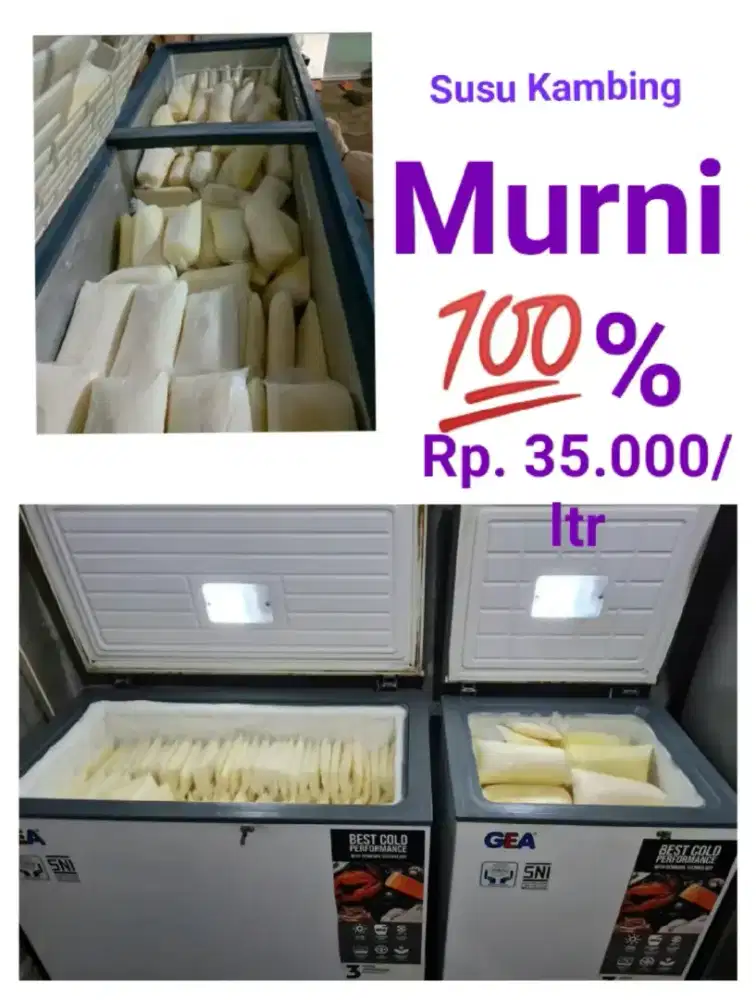 Susu kambing murni 100%