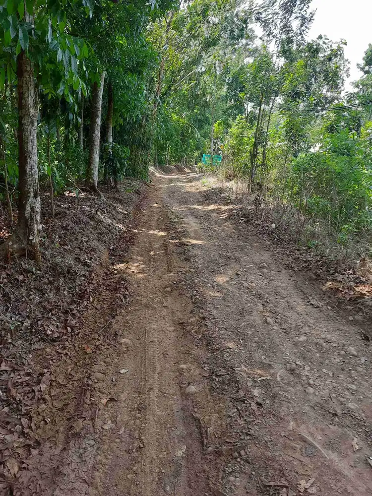 Kebun murah 7300 m2 Hanya 70 ribu per meter