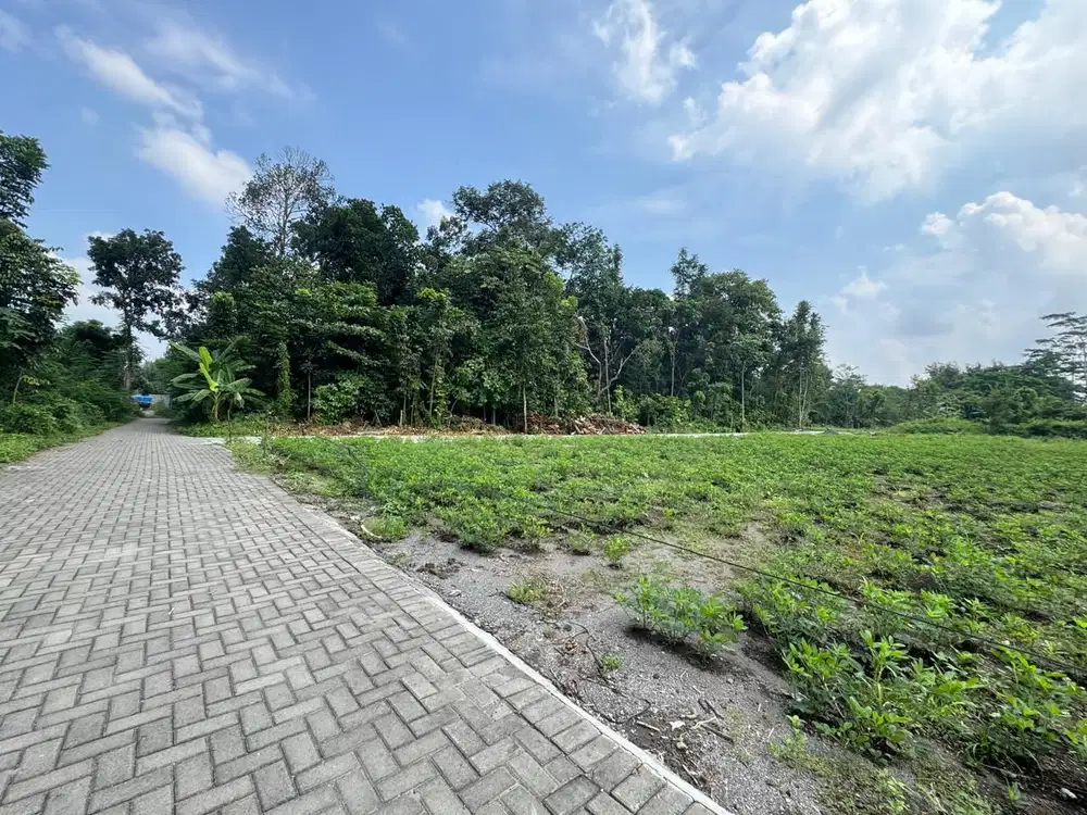 Tanah Prospek Bangun Kos, Belakang Kampus UII Jogja