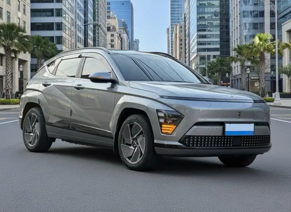 Hyundai Kona EV.Signature AT.Terwat