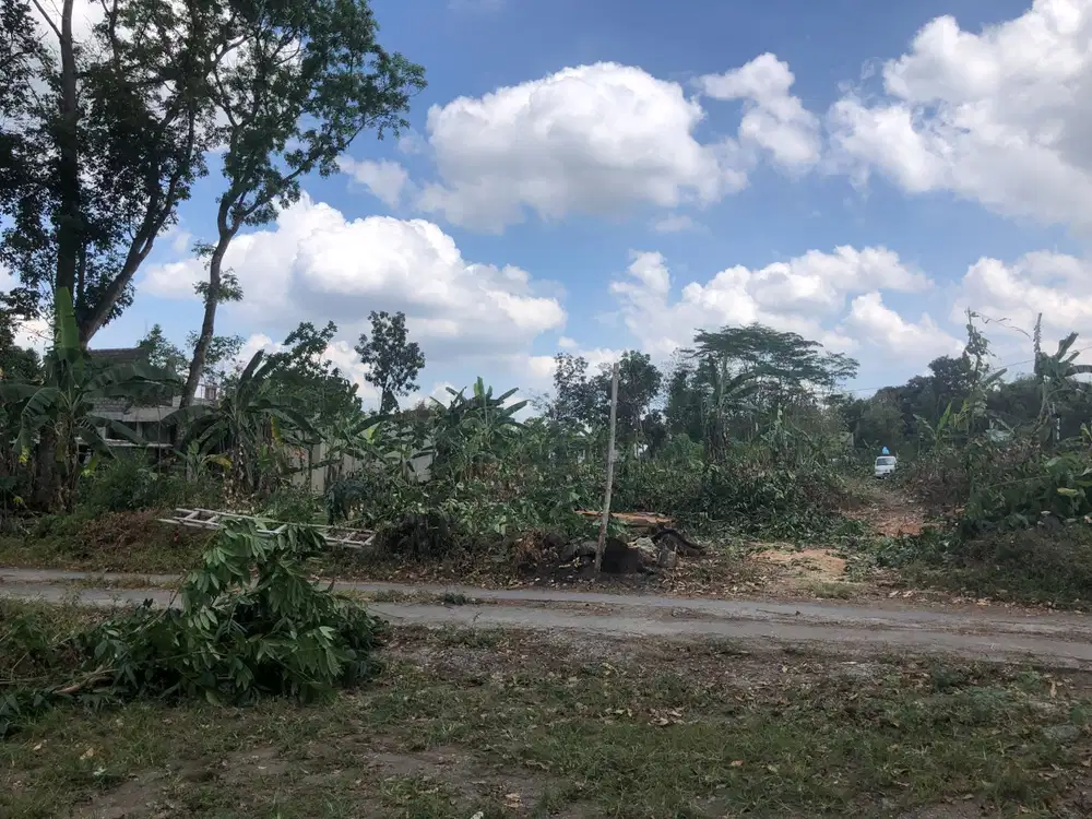 Area UII; Peruntukkan Kos Homestay Eksklusif; SHM