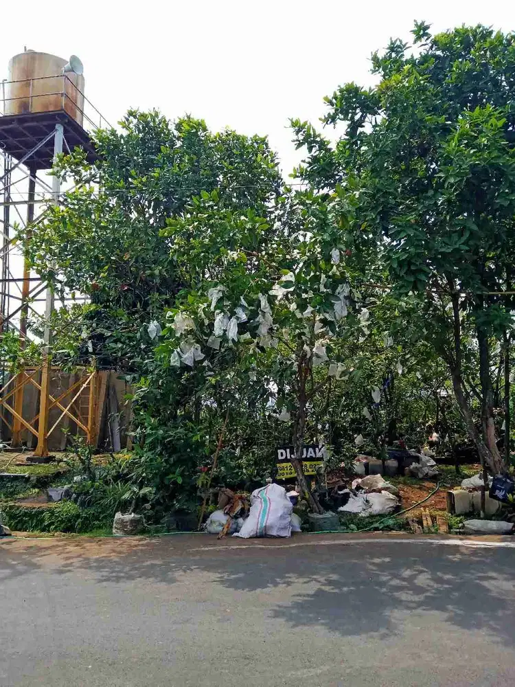 KSB sebelah masjid Jabal Nur Gedawang Permai 3 diBanyumanik